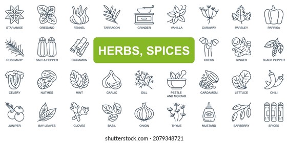 Herbs, spices concept simple line icons set. Bundle of star anise, oregano, vanilla, paprika, rosemary, salt, pepper, cinnamon and other. Vector pack outline symbols for website or mobile app design