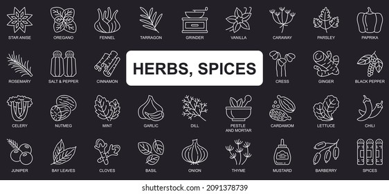 Herbs, spices concept simple line icons set. Bundle of star anise, oregano, vanilla, paprika, rosemary, salt, pepper, cinnamon and other. Vector pack outline symbols for website or mobile app design