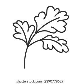 Herbs and spices for cooking dishes and meal. Celery stem and leaves, foliage and fragrant leafage adding to ingredients while preparing food. Isolated monochrome outline icon. Vector in flat style