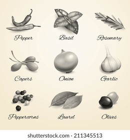 Herbs and spices decorative elements black and white kitchen set isolated vector illustration.