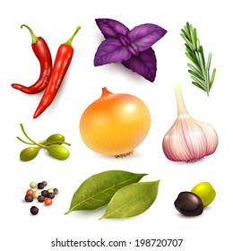 Herbs and spices decorative elements set on rosemary onion garlic isolated vector illustration