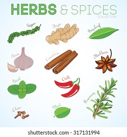 Herbs Spices Drawing Stock Vector (royalty Free) 317131994 