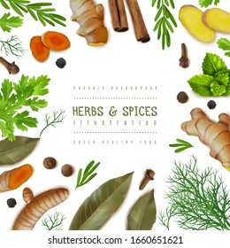 Herbs and spices frame illustration. Textured items. Isolated objects collection. Ginger, turmeric, slices, roots, Bay leaf, pepper. Vector illustration