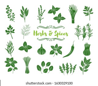 Herbs and spices glyph icons. Silhouettes popular culinary herbs, stamp print vector illustration. Bay leaf, chili, lemongrass, fennel cilantro. Thyme, lemon balm, tarragon etc. Seasoning food.