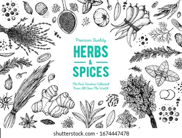 Herbs and spices hand drawn vector illustration. Aromatic plants. Hand drawn food sketch. Vintage illustration. Card design. Sketch style. Spice and herbs black and white design.