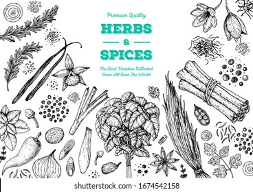 Herbs And Spices Hand Drawn Vector Illustration. Aromatic Plants. Hand Drawn Food Sketch. Vintage Illustration. Card Design. Sketch Style. Spice And Herbs Black And White Design.