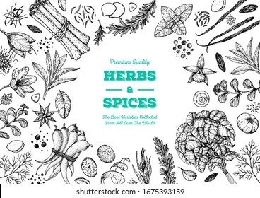 Herbs and spices hand drawn vector illustration. Aromatic plants. Hand drawn food sketch. Vintage illustration. Card design. Sketch style. Spice and herbs black and white design.