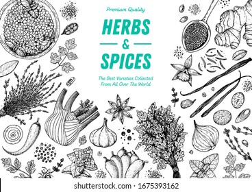 Herbs And Spices Hand Drawn Vector Illustration. Aromatic Plants. Hand Drawn Food Sketch. Vintage Illustration. Card Design. Sketch Style. Spice And Herbs Black And White Design.