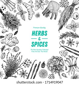 Herbs and spices hand drawn vector illustration. Aromatic plants. Hand drawn food sketch. Vintage illustration. Card design. Sketch style. Spice and herbs black and white design.