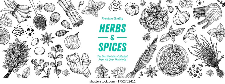 Herbs and spices hand drawn vector illustration. Hand drawn food sketch. Vintage illustration. Aromatic plants. Card design. Sketch style. Spice and herbs black and white design