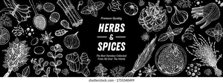 Herbs and spices hand drawn vector illustration. Hand drawn food sketch. Vintage illustration. Aromatic plants. Card design. Sketch style. Spice and herbs black and white design