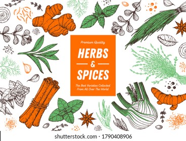 Herbs and spices hand drawn vector illustration. Aromatic plants. Hand drawn food sketch. Vintage illustration. Card design. Sketch style. Spice and herbs  design.