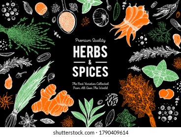 Ilustración vectorial con hierbas y especias dibujadas a mano. Plantas aromáticas. Esbozo de comida dibujado a mano. Ilustración vintage. Diseño de tarjetas. Estilo de esbozo. Especias y hierbas de diseño blanco y negro.