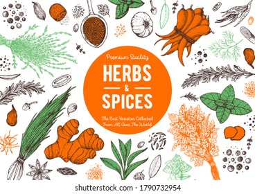 Herbs and spices hand drawn vector illustration. Aromatic plants. Hand drawn food sketch. Vintage illustration. Card design. Sketch style. Spice and herbs design.