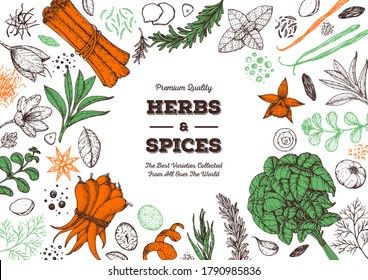 Herbs and spices hand drawn vector illustration. Aromatic plants. Hand drawn food sketch. Vintage illustration. Card design. Sketch style. Spice and herbs  design.