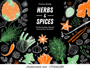 Herbs and spices hand drawn vector illustration. Aromatic plants. Hand drawn food sketch. Vintage illustration. Card design. Sketch style. Spice and herbs design template.