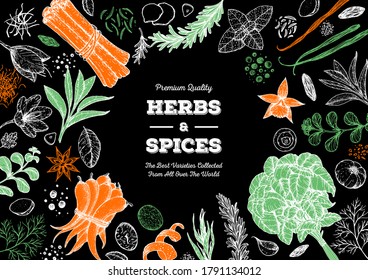 Herbs and spices hand drawn vector illustration. Aromatic plants. Hand drawn food sketch. Vintage illustration. Card design. Sketch style. Spice and herbs design.