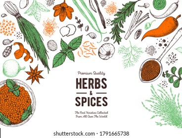 Herbs and spices hand drawn vector illustration. Aromatic plants. Hand drawn food sketch. Vintage illustration. Card design. Sketch style. Spice and herbs design.