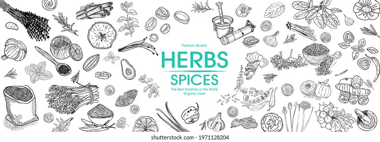 Herbs and Spices. Hand drawn vector illustration set. Top view frame. Engraved design. Spice and herbs black and white design. Card design.