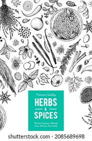 Herbs and spices hand drawn vector illustration. Aromatic plants. Hand drawn food sketch. Vintage illustration. Card design. Sketch style. Spice and herbs black and white design.