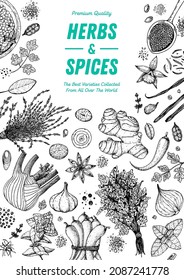 Herbs and spices hand drawn vector illustration. Aromatic plants. Hand drawn food sketch. Vintage illustration. Card design. Sketch style. Spice and herbs black and white design.