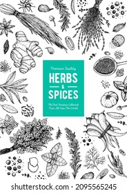 Herbs and spices hand drawn vector illustration. Aromatic plants. Hand drawn food sketch. Vintage illustration. Card design. Sketch style. Spice and herbs black and white design.