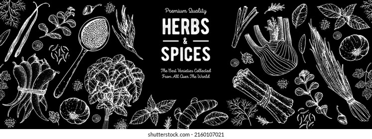Ilustración vectorial con hierbas y especias dibujadas a mano. Plantas aromáticas. Esbozo de comida dibujado a mano. Ilustración vintage. Diseño de tarjetas. Estilo de esbozo. Diseño blanco y negro de especias y hierbas