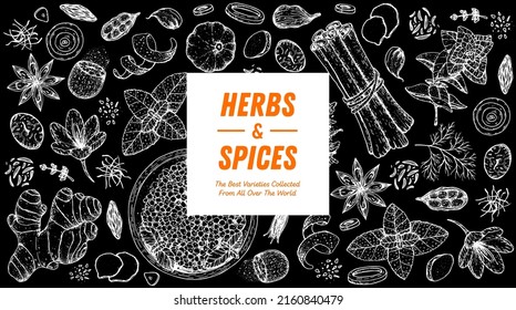 Herbs and spices hand drawn vector illustration. Aromatic plants. Hand drawn food sketch. Vintage illustration. Card design. Sketch style. Spice and herbs black and white design.