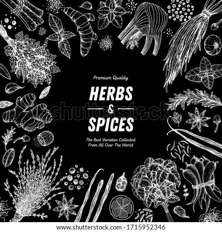 Herbs and spices hand drawn vector illustration. Aromatic plants. Hand drawn food sketch. Vintage illustration. Card design. Sketch style. Spice and herbs black and white design.