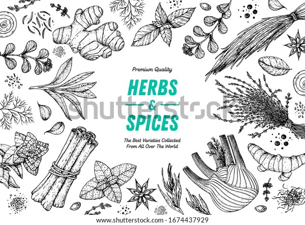 Herbs and spices\
hand drawn vector illustration. Aromatic plants. Hand drawn food\
sketch. Vintage illustration. Card design. Sketch style. Spice and\
herbs black and white\
design.