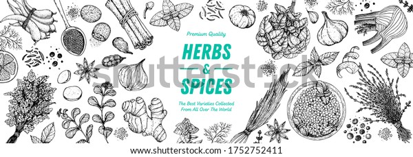 Herbs and spices\
hand drawn vector illustration. Hand drawn food sketch. Vintage\
illustration. Aromatic plants. Card design. Sketch style. Spice and\
herbs black and white\
design
