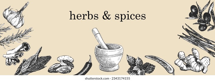 Herbs and Spices. Hand-drawn illustration of plants and objects. Ink. Vector