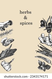 Herbs and Spices. Hand-drawn illustration of plants and objects. Ink. Vector