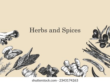 Herbs and Spices. Hand-drawn illustration of plants and objects. Ink. Vector