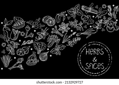Herbs and spices, hand-drawn sketch-style elements. Hand-drawn food sketch. Aromatic plants. Black background packaging design. Sketch style. Silhouette design of spices and herbs. 