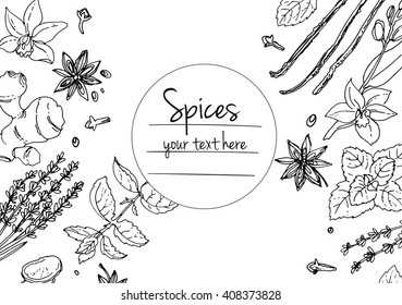 Herbs. Spices. Herb drawn black lines on a white background. Vector illustration. Background with herbs with window for text. 