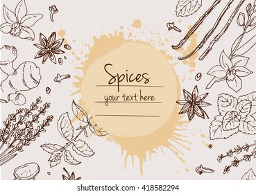 Herbs. Spices. Herb drawn black lines on a white background. Vector illustration. Background with herbs with window for text