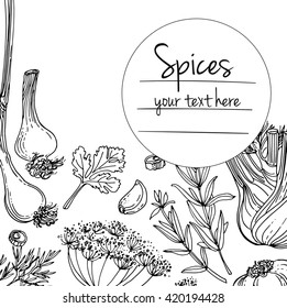 Herbs. Spices. Herb drawn black lines on a white background. Vector illustration. Background with herbs with window for text
