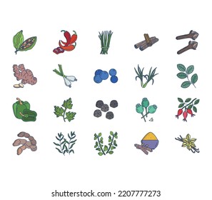 Herbs and Spices icon set