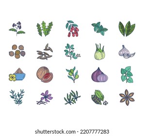 Conjunto de iconos de hierbas y especias