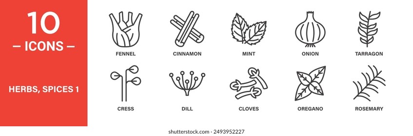 Herbs spices icon set. Fennel, cinnamon, mint, onion, tarragon, cress, dill, cloves, icons. Outlined icon collection. Vector illustration.