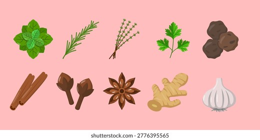 Herbs and Spices Icon Set Fresh Ingredients Cooking Seasoning Vector