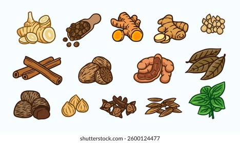 herbs and spices illustration, traditional spices. Pepper Turmeric, Ginger, Garlic, Shallot, Coriander, Cumin, Candlenut, Cinnamon, Nutmeg, Cloves, Basil, Bay leaf, Galangal, Tamarind, Pangium Edule