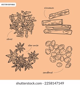 Herbs spices india indonesian asian sketch style vector illustration editable