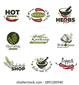 Herbs and spices, isolated pepper and culinary supplements for food and dishes. Aromatic powders and leaves for food preparation and cooking. Herbal condiment. Label or emblem, vector in flat style