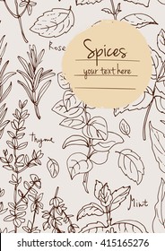 Herbs. Spices. Italian herb drawn black lines on a white background. Vector illustration. Background with herbs with window for text