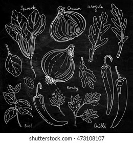 Herbs. Spices. Italian herb drawn black lines on a white background. Vector illustration. Basil, chilli, onion, parsley, spinach, arugula. Chalkboard texture background