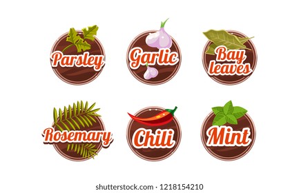 Herbs and spices kitchen badges set, parsley, garlic, bay leaves, rosemary, chilli, mint labels vector Illustration on a white background