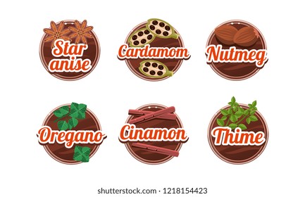 Herbs and spices kitchen badges set, star anice, cardamom, nutmeg, oregano, cinamon, thime labels vector Illustration on a white background