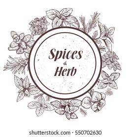 Herbs and spices label. Engraving illustrations for tags. Vector sketches of vegan food. Hand drawn plants.